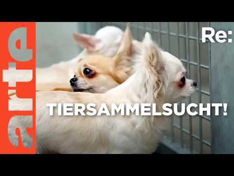 Wenn Menschen krankhaft Tiere sammeln | ARTE Re: Reupload