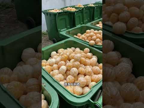 最委屈的水果，不吃果肉，只要果皮！