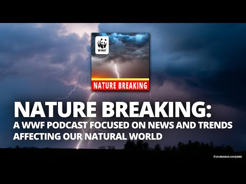 Introducing WWF's Podcast: Nature Breaking (TRAILER)