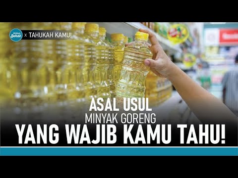 Wow Ternyata Ini Asal Usul Minyak Goreng Yang Sering Kita Gunakan Tvone