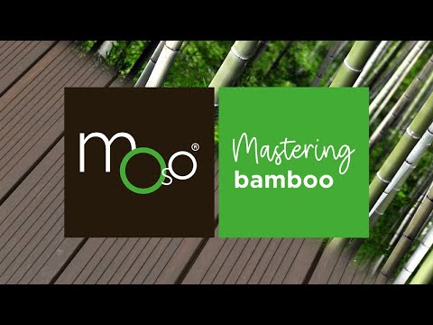 MOSO Bamboo X-treme Production | From plant to product