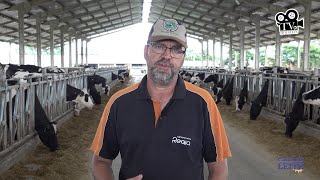Agropecuária Régia - mais de 50 anos de experiência na produção de leite com gado holandês