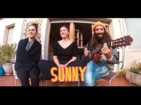 Gato, Piper, Bella - Sunny (Bobby Hebb cover)