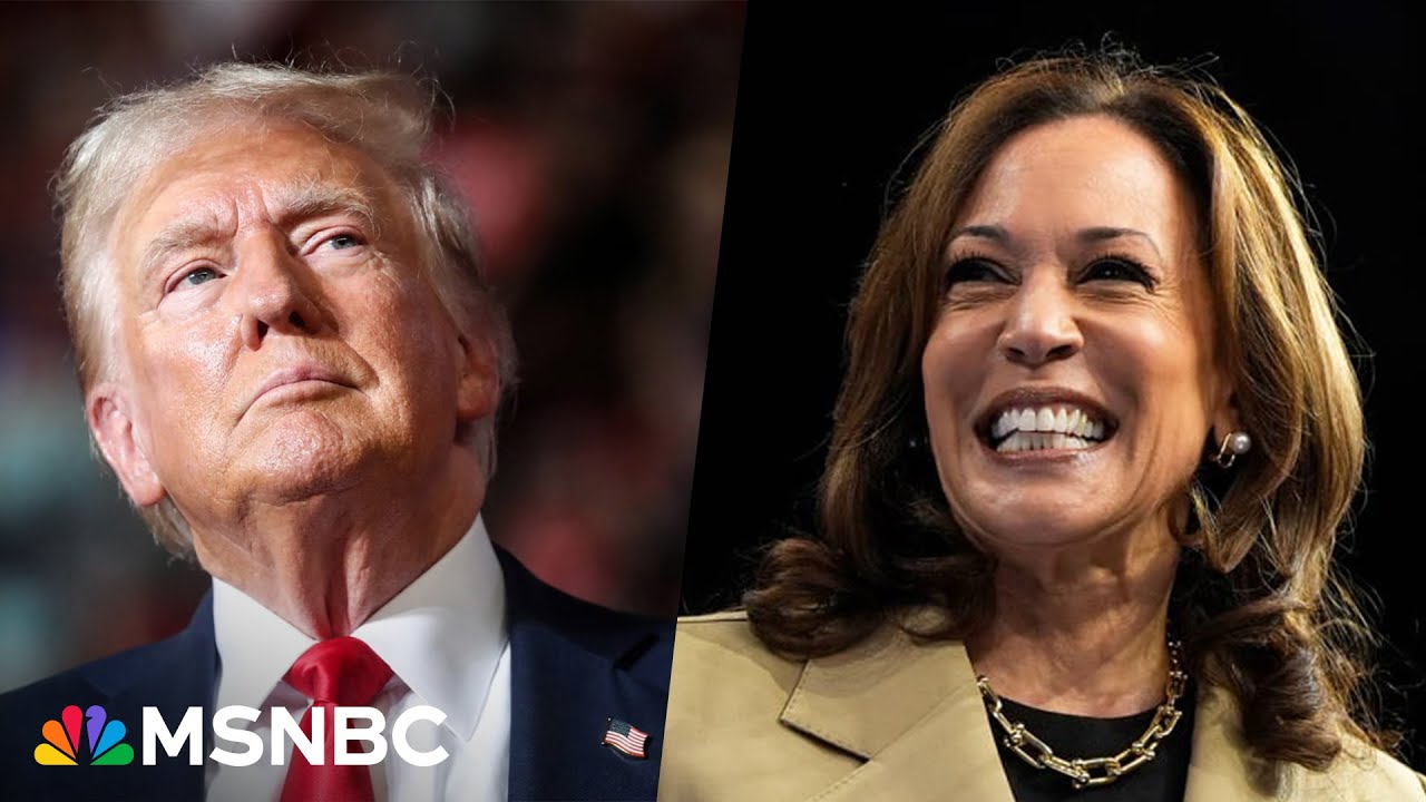 ‘Who’s bringing crime? Trump’: Expert says Harris reclaims border issue with new ad