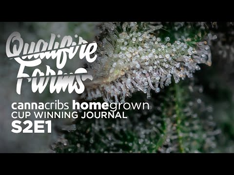 Shopping and Building your Recreational Home Grow