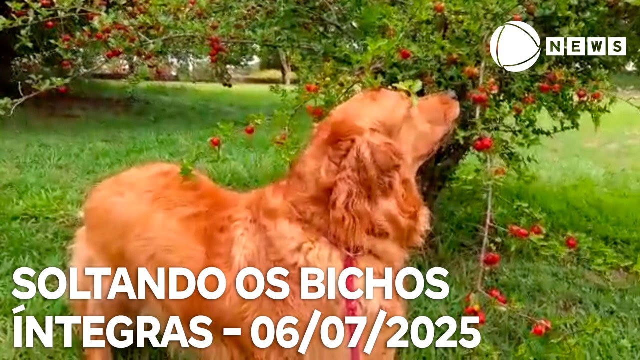 Soltando os Bichos   06072025