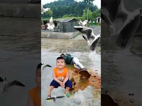 xem giải trí 💃🕺vui vẻ nha quý vị 👪