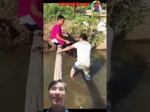 entertainment laugh out loud