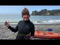 Divers fight to save Californias kelp forests threatened by warming ocean waters  - 03:11 min - News - Video