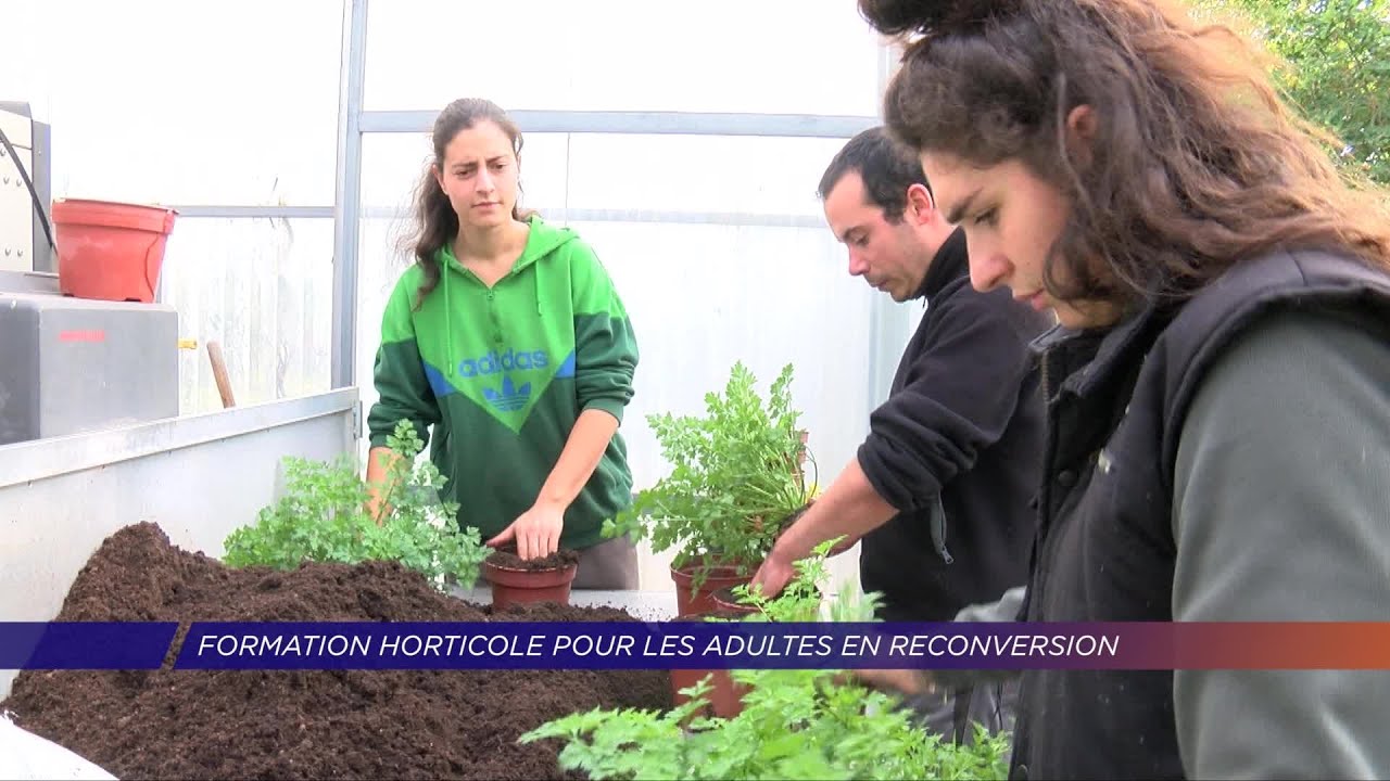 Yvelines | Formation horticole pour les adultes en reconversion