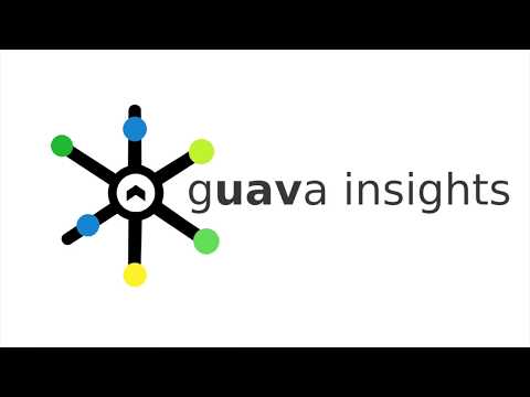 Guava Insights