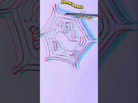 How to draw/How to draw Biology Diagrams/ #ncert #ncertbiology #biologydiagrams  #shorts #short #art