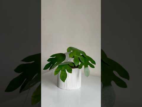 Diy artificial plant 🪴| Miami #shortsfeed #shortvideo #shortsvideo #shorts #short #diy #craft #easy