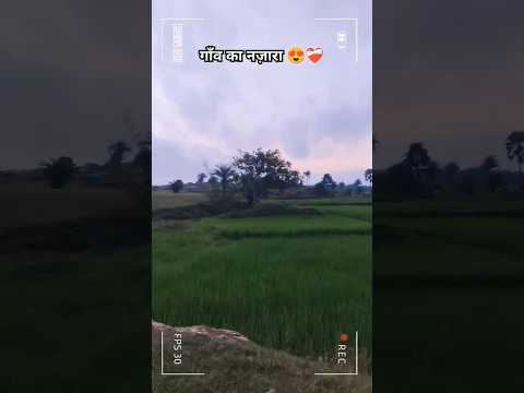 गाँव का नाजरा ❤️‍🩹😍💯🫣😇😱🌏#viral #villagelifestyle #village #song #youtubeshorts #youtube#india#nepal