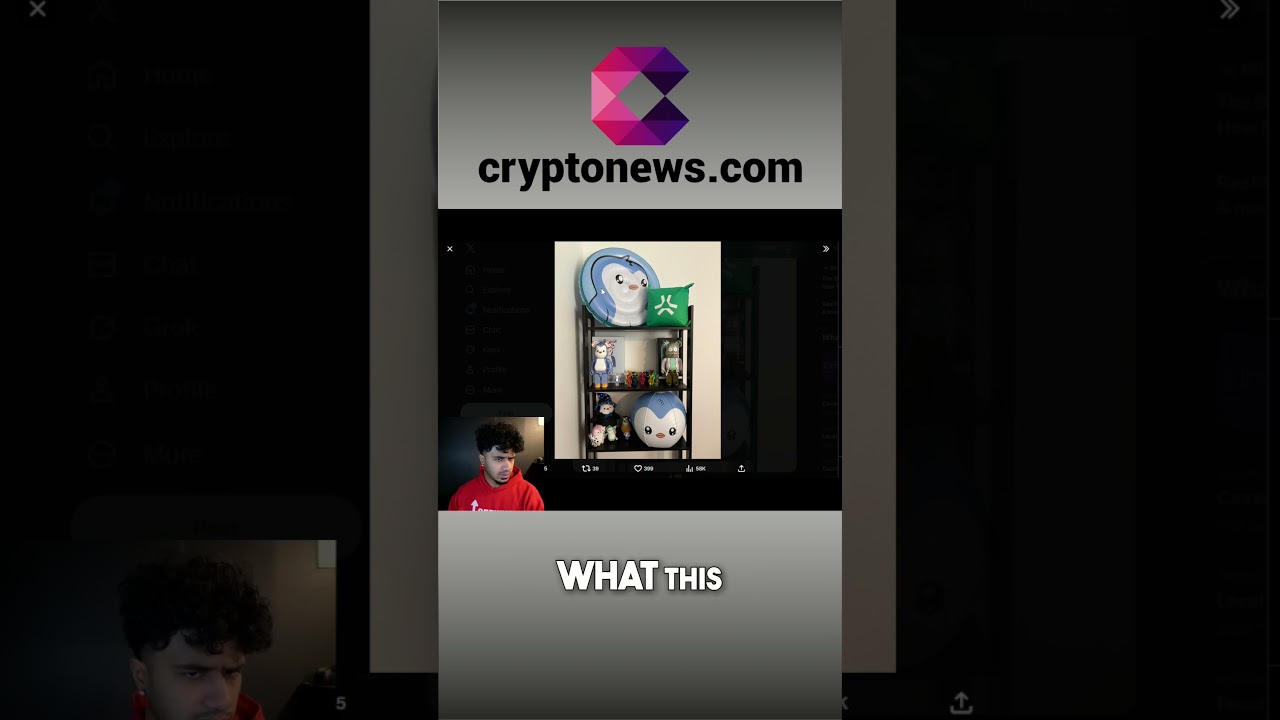 Pengu: The Undisputed Crypto Brand Taking Over Merch! shorts