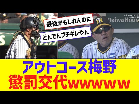 アウトコース梅野、懲罰交代ｗｗｗｗｗｗｗｗｗｗｗｗｗｗ【なんJ反応】