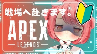 【APEX】臆病者の初心者がえぺをがんばっている配信です。🔫【花丸ちよ / Vtuber】