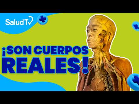 🧠✨ ¿Sabías que Bodies está en El Salvador?