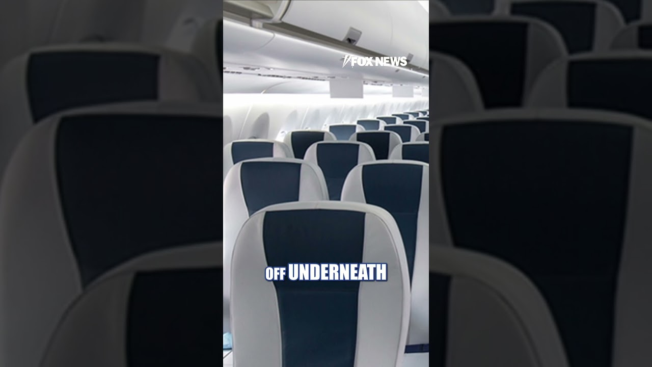 ‘BIG BANG’: Delta flight reports firework strike #foxnews #news #shorts #delta