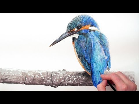 How to paint a vibrant Kingfisher bird in watercolour (forget the limited palette!) with Anna Mason