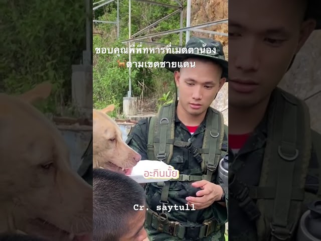 ขอบคุณที่เมตตาน้องสี่ขานะคะพี่พี่ทหารไทยใจดี🐕‼️ #สุนัขน่ารัก #สุนัขแสนรู้