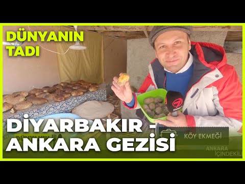 Dünyanın Tadı – Diyarbakır - Ankara | 26 Mart 2022