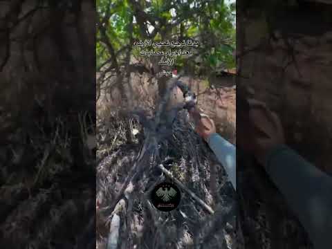 رح نرجع ونحي الارض بعد تخريبها من نظام الاسد باذن الواحد الاحد 🖤🍂