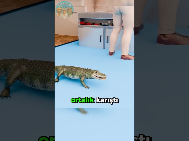 Komik Olmayan Timsah Şakası 🐊😱👨‍⚖️