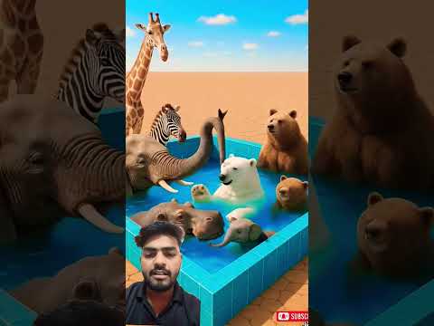 All animals are troubled by sweat, but the parrot builds a swimming pool for them 😱 #ai #parrot