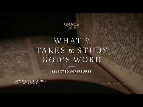 What It Takes to Study God's Word (Selected Scriptures) [Audio Only]