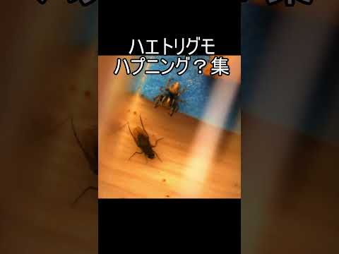 thumbnail_hOSZXBFDV6A