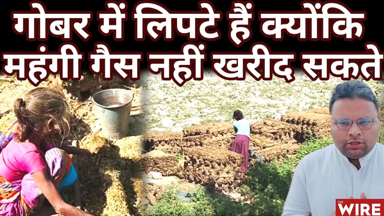 "महंगी रसोई गैस नहीं खरीद सकते इसलिए गोबर में लिपटे हैं"