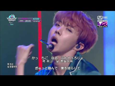 防弾少年団「Blood Sweat & Tears (血、汗、涙)」日本語字幕・かなルビ・和訳・掛け声