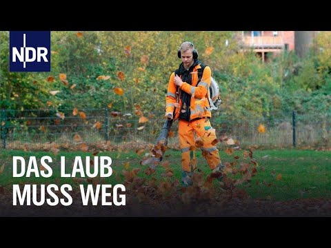 Hochbetrieb im goldenen Herbst | Die Nordreportage | NDR Doku