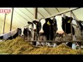 Faire BUBI-Milch aus NRW - YouTube