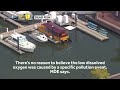 MDE: Dead fish not caused by pollution event  - 01:13 min - News - Video