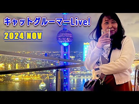 キャットグルーマーLive! 2024 NOV