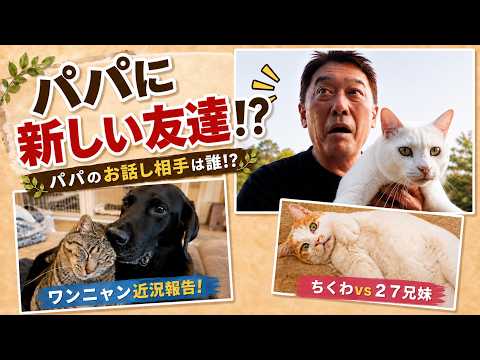 【坂上パパに新しい友達!?】坂上家ワンニャン最新映像〜アキの近況について〜