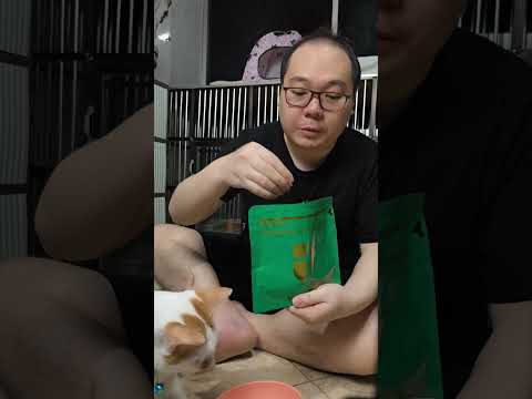 Review Krill and Chicken Shred Pawzio untuk kucing