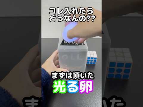 光る卵入れたらどうなんの?? #rubikscube #ルービックキューブ