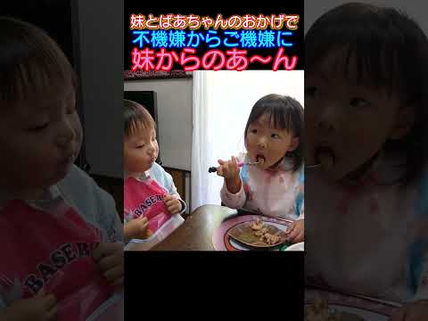 #イヤイヤ期も妹とばあちゃんのおかげでご機嫌になる兄 #baby   #双子#twins #仲良し男女双子 #仲良し兄妹 #shorts  #生後1歳11ヶ月