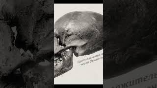 Загадка египетских черепов ☠️ #artifex #история #артифекс #history #египет #нефертити