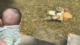 動画サムネイル