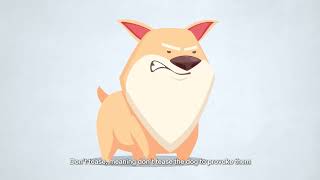 Observe your pets for symptoms of rabies