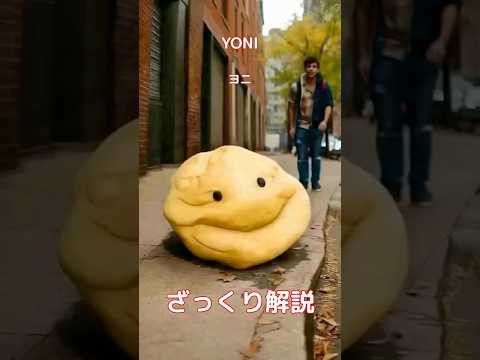 【#italianbrainrot 】YONI ヨニ【ざっくり解説】