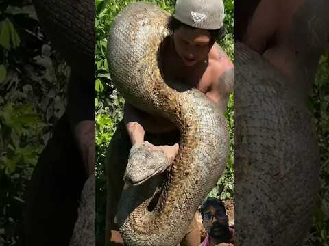 annakoda #trending #viral #fishing #viralvideos #shortsfeed