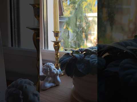 У нас заморозок.Как я успела выкопать георгины! Уф!И неожиданно солнечный день! #ташамуляр