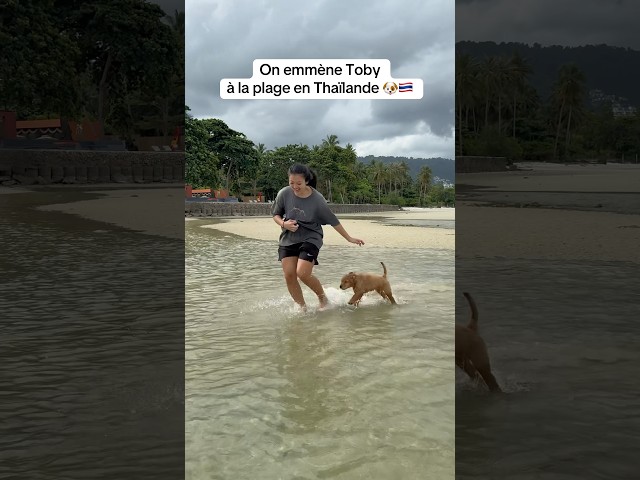 Toby découvre la mer pour la première fois… 🏝️