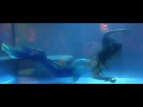 Dreams - David Guetta & MORTEN Feat. Lanie Gardner