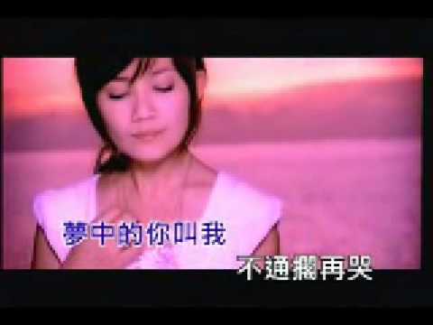 梁靜茹 - 憨過頭